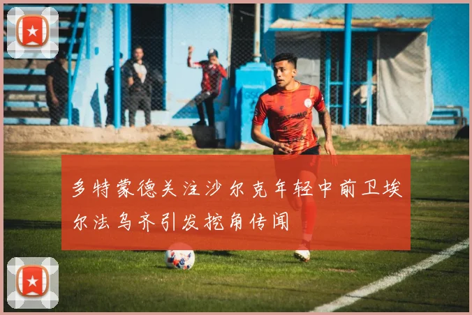 多特蒙德关注沙尔克年轻中前卫埃尔法乌齐引发挖角传闻