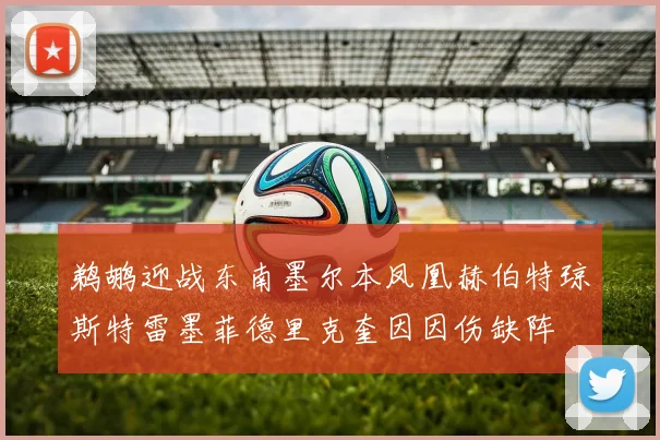 鹈鹕迎战东南墨尔本凤凰赫伯特琼斯特雷墨菲德里克奎因因伤缺阵