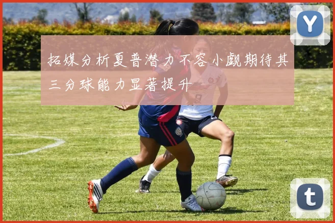 拓媒分析夏普潜力不容小觑期待其三分球能力显著提升