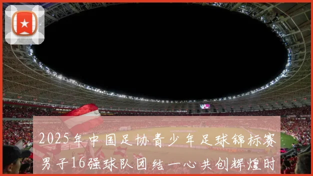 2025年中国足协青少年足球锦标赛男子16强球队团结一心共创辉煌时刻