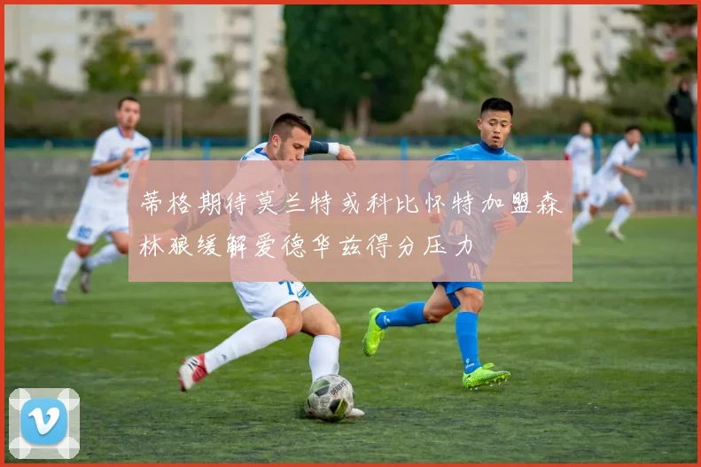 蒂格期待莫兰特或科比怀特加盟森林狼缓解爱德华兹得分压力